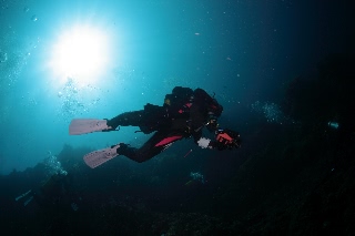 「無題」のサムネイル画像