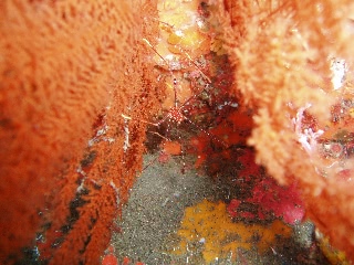 「隣りへ引っ越し」のサムネイル画像