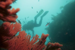 「無題」のサムネイル画像