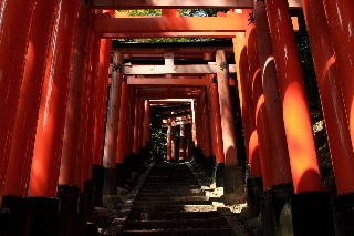 「無題」のサムネイル画像