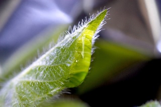 「無題」のサムネイル画像
