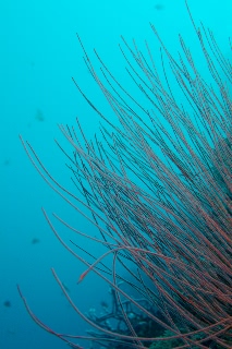 「無題」のサムネイル画像