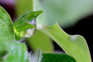 「無題」のサムネイル画像