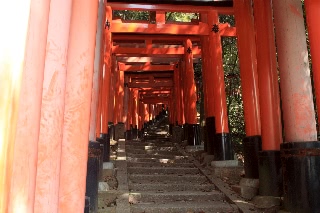 「無題」のサムネイル画像