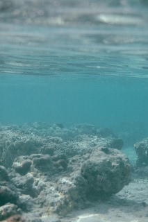 「無題」のサムネイル画像