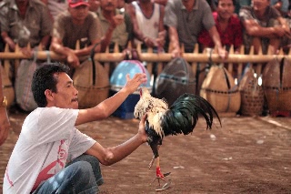 「無題」のサムネイル画像