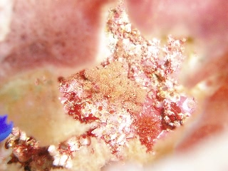 「外の世界」のサムネイル画像