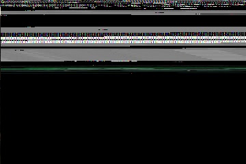 「ヨークシャー・テリア(Yorkshire Terrier)」のサムネイル画像