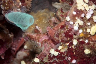 「無題」のサムネイル画像