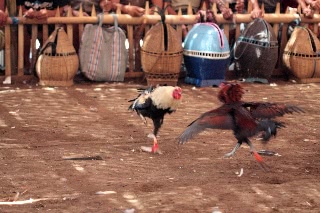 「無題」のサムネイル画像
