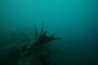 「無題」のサムネイル画像