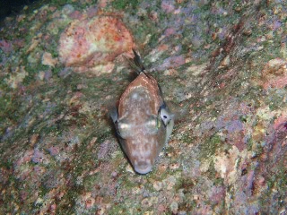 「無題」のサムネイル画像