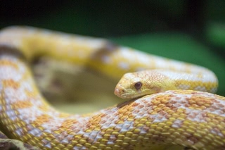 「無題」のサムネイル画像