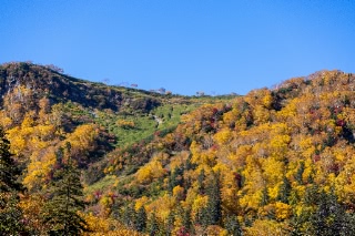 「無題」のサムネイル画像