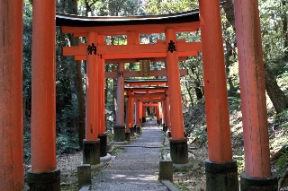 「無題」のサムネイル画像