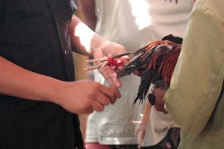 「無題」のサムネイル画像