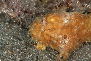 「無題」のサムネイル画像