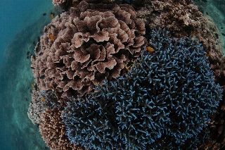 「無題」のサムネイル画像