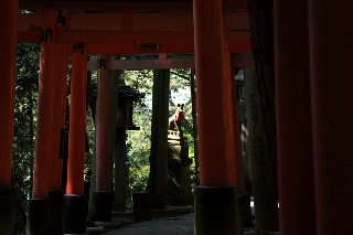 「無題」のサムネイル画像