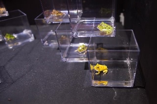 「無題」のサムネイル画像