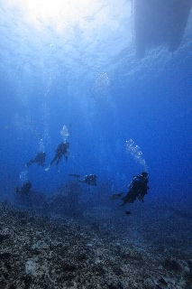 「無題」のサムネイル画像