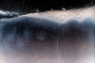 「無題」のサムネイル画像