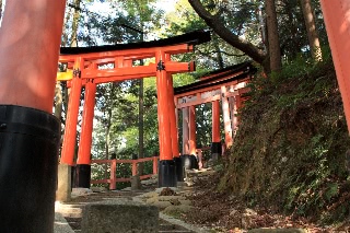 「無題」のサムネイル画像