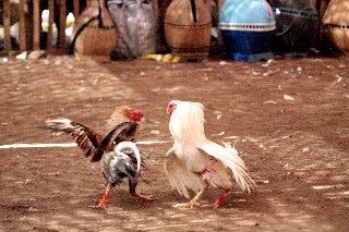 「無題」のサムネイル画像