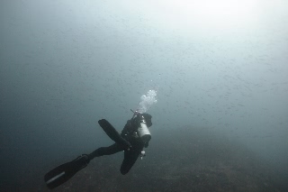 「無題」のサムネイル画像