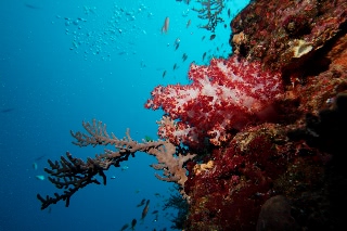 「無題」のサムネイル画像