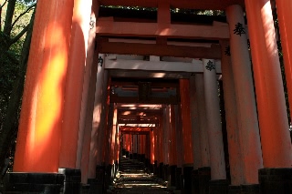 「無題」のサムネイル画像