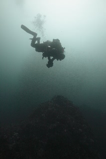 「無題」のサムネイル画像