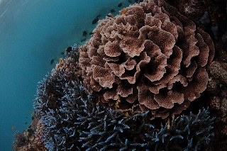 「無題」のサムネイル画像