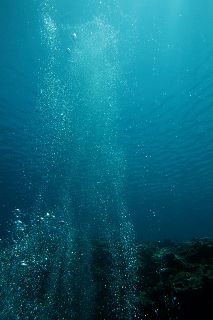 「無題」のサムネイル画像