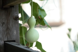 「千成瓢箪」のサムネイル画像