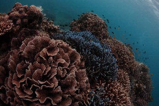 「無題」のサムネイル画像