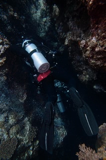 「無題」のサムネイル画像