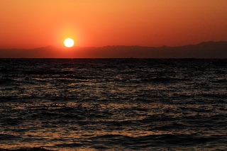 「無題」のサムネイル画像