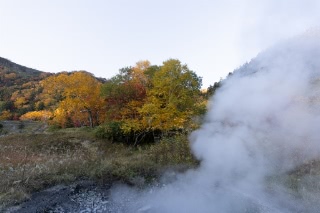 「無題」のサムネイル画像