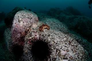 「無題」のサムネイル画像