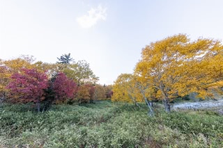 「無題」のサムネイル画像