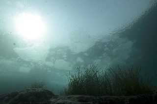 「無題」のサムネイル画像