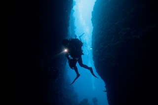 「無題」のサムネイル画像