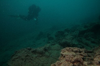 「無題」のサムネイル画像