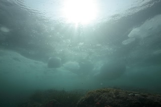 「無題」のサムネイル画像