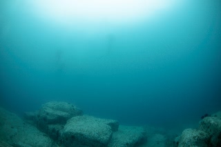 「無題」のサムネイル画像