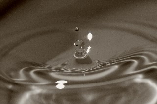 「解放」のサムネイル画像