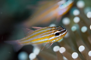 「無題」のサムネイル画像