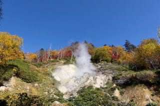 「無題」のサムネイル画像