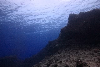 「無題」のサムネイル画像